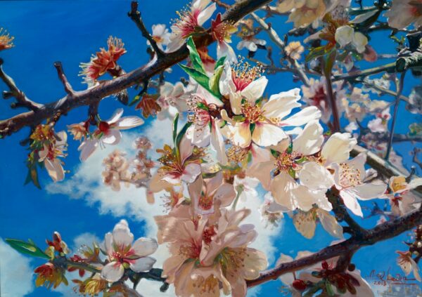 flowers of israel