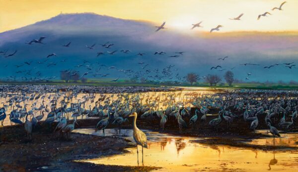 Hula valley israel