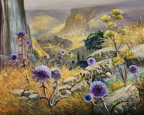 flowers of Israel