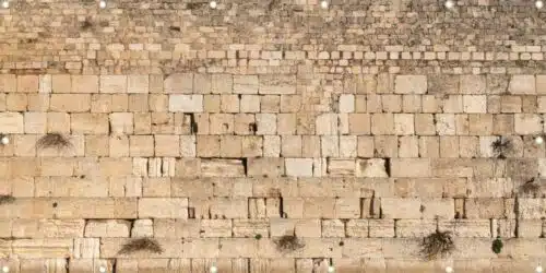 Kotel Sukkah decoration