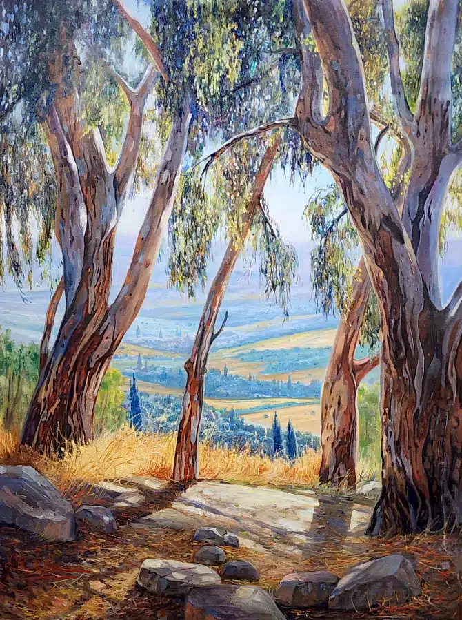 Eucalyptus Trees