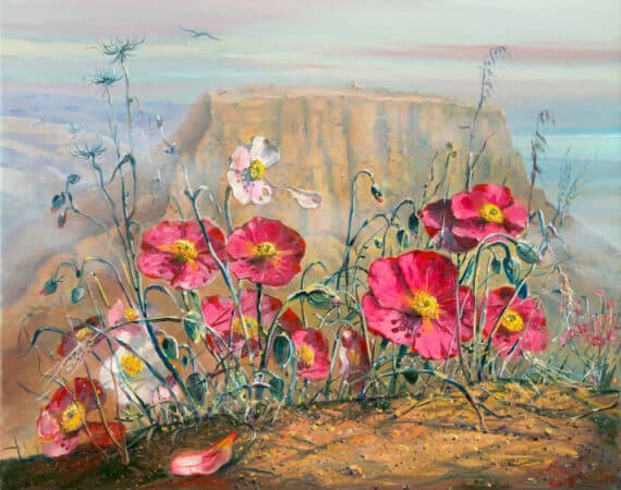 poppies flowers