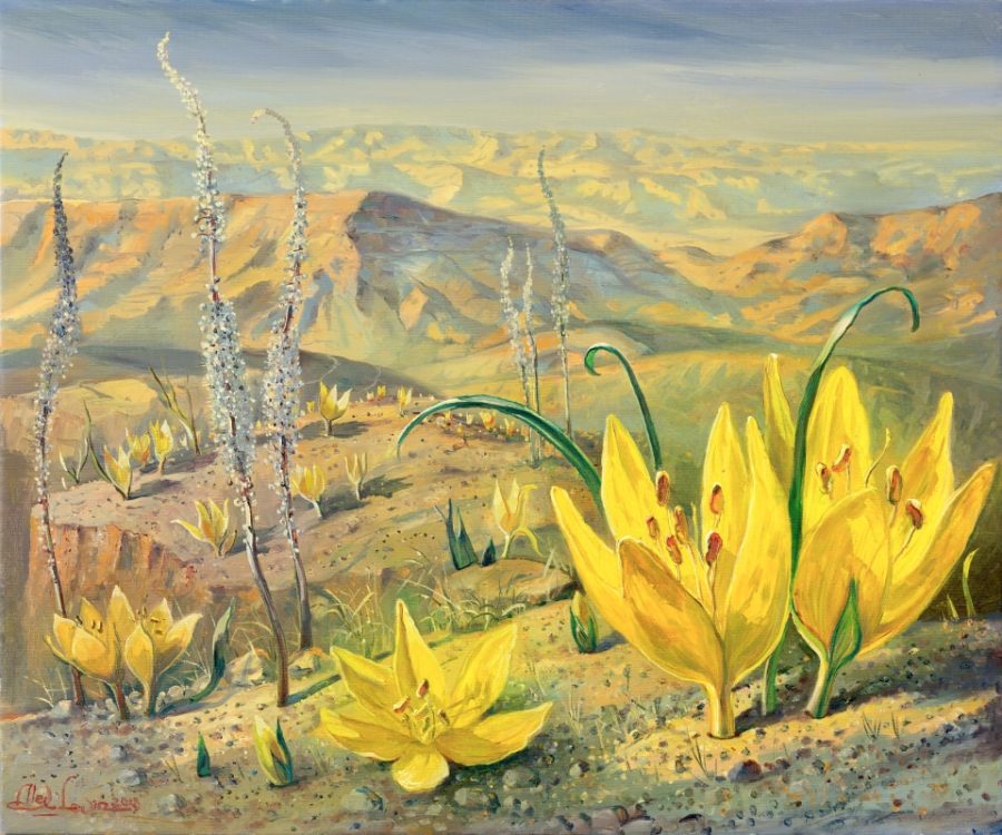 Blooming of Sternbergia Clusiana in Judean Desert, Painting by Alex Levin