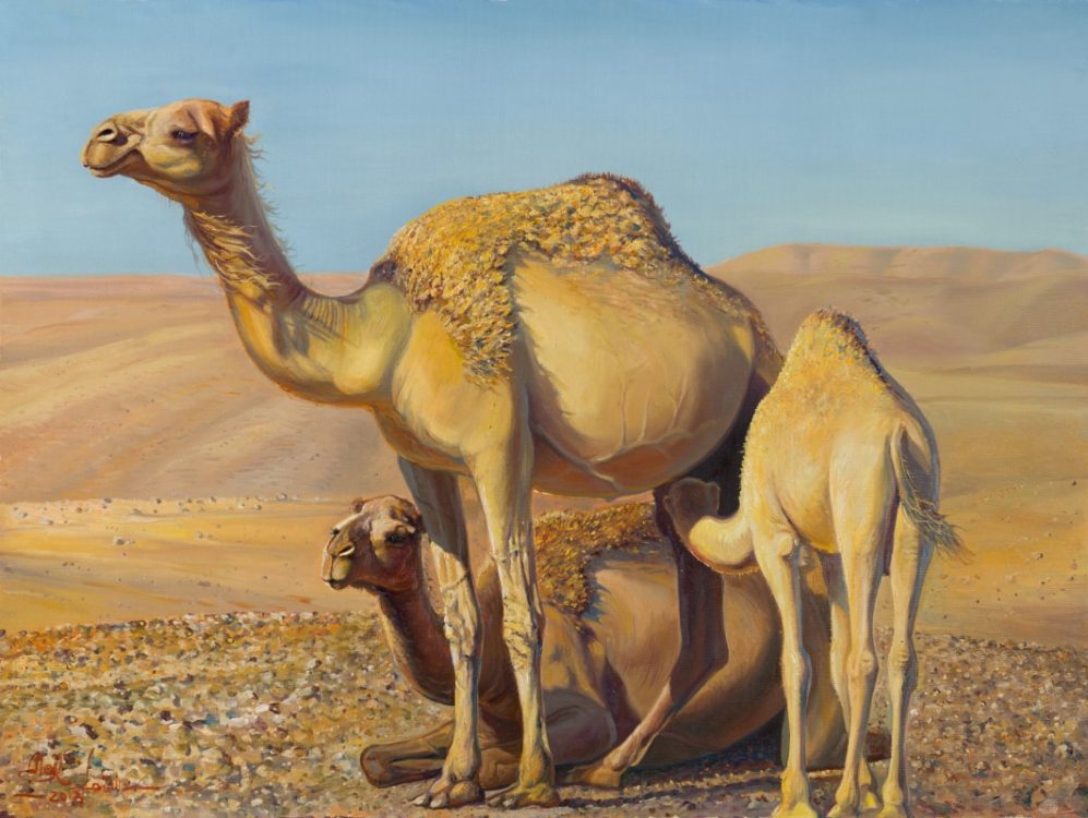 camels painting