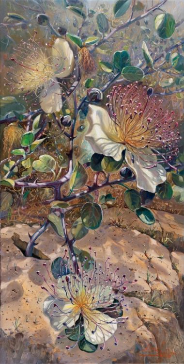 Capers -Symbol of strong Israel, Painting by Alex Levin
