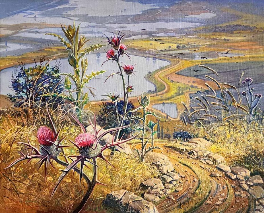 Nature of Israel