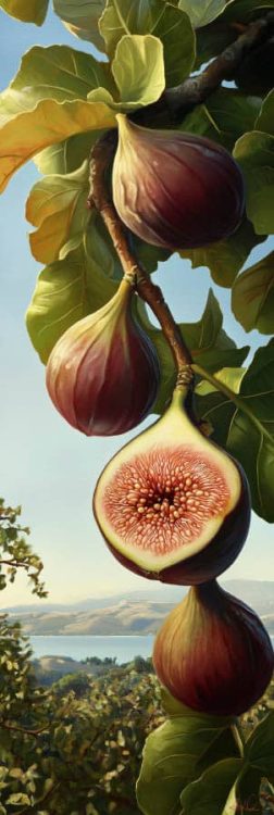 painting of figs