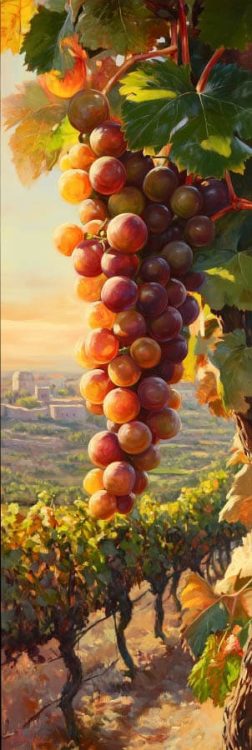 painting of grapes