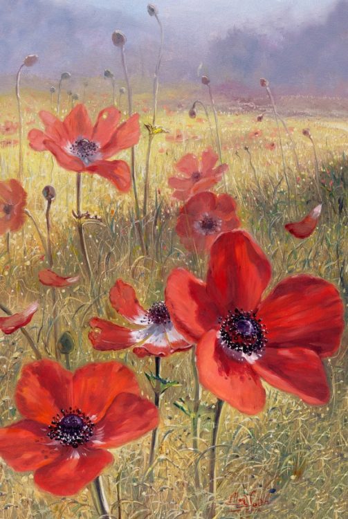 poppy flowers painting