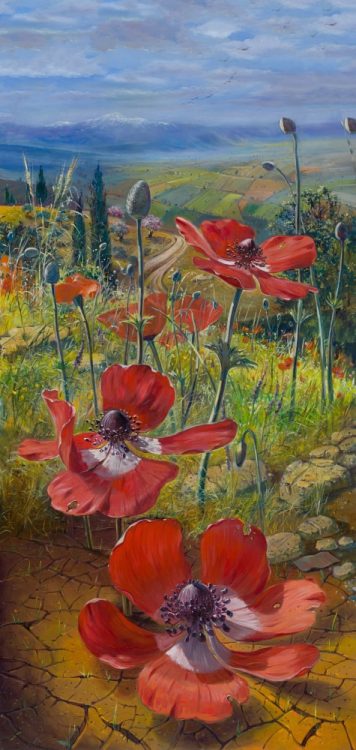 poppy flowers israel