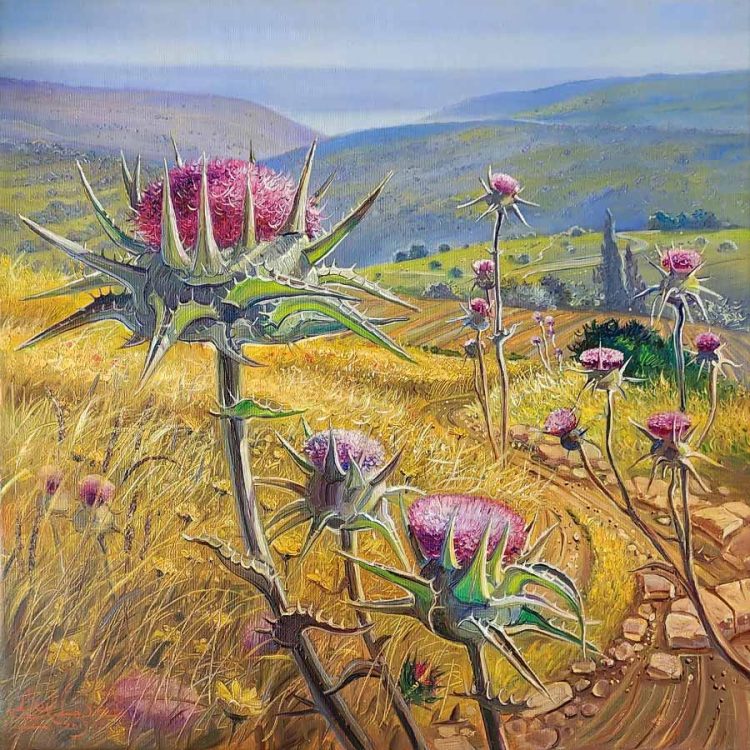 Nature of Israel