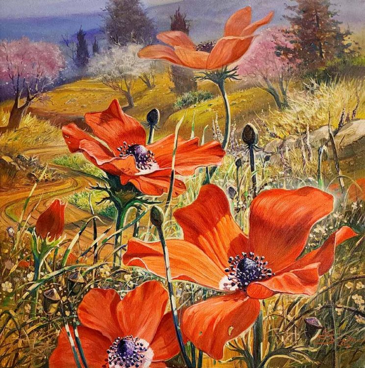 poppy flowers