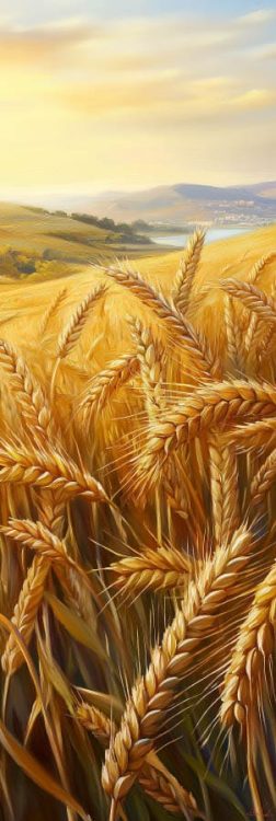 painting of wheat