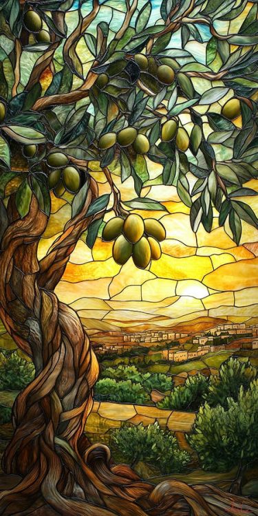 olive trees in jerusalem